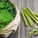 cây chùm ngây mọc ở đâu