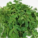 chùm ngây chữa bệnh gì