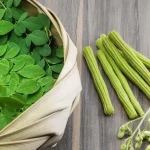 chùm ngây kỵ với gì