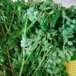 Rau chùm ngây có tác dụng gì